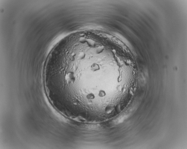 X0000062171055200512091425