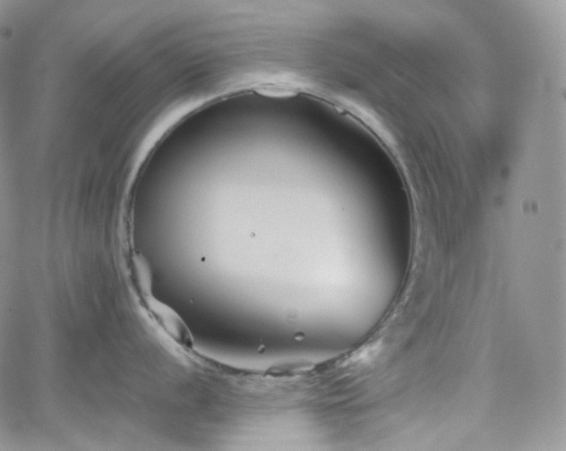 X0000062171056200512091425