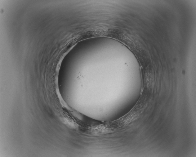 X0000062171057200512091424