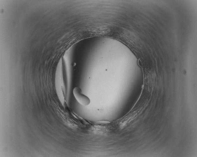 X0000062171058200512091424