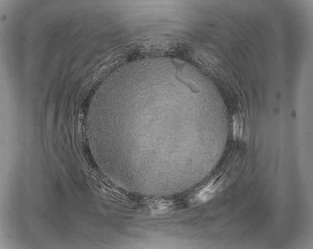 X0000062171059200512091424