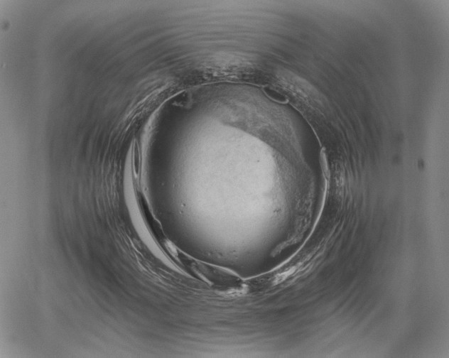 X0000062171060200512091424