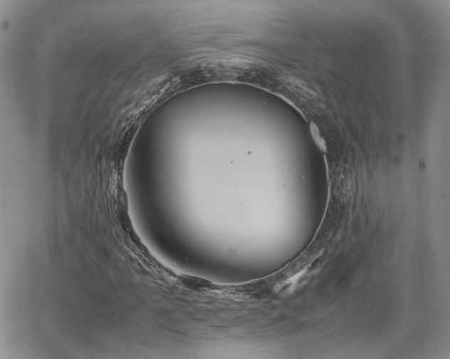 X0000062171061200512091424