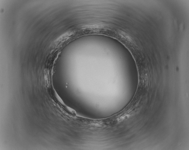 X0000062171062200512091424