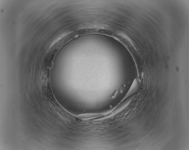 X0000062171064200512091424