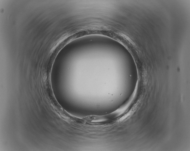 X0000062171065200512091424