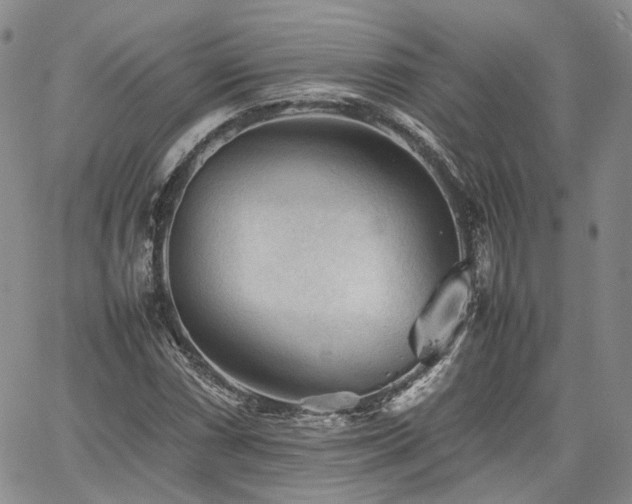 X0000062171066200512091424