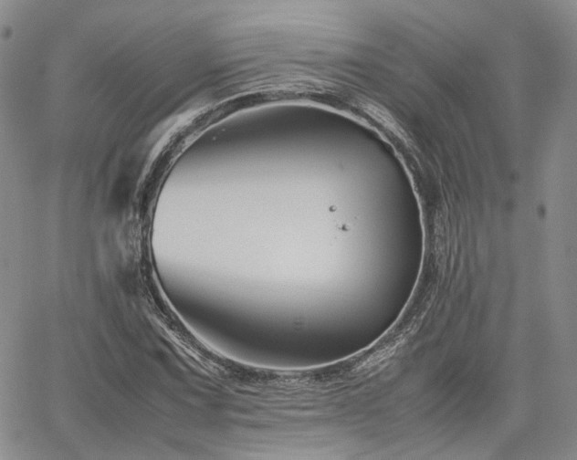 X0000062171067200512091424