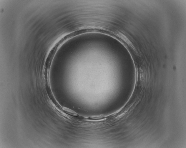 X0000062171068200512091424