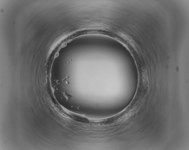 X0000062171069200512091424