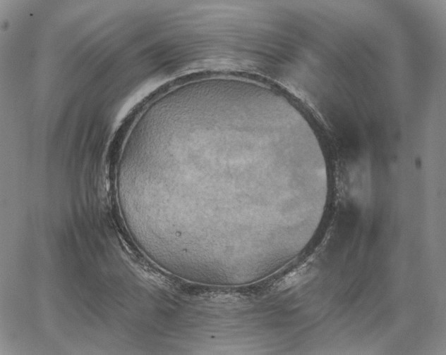 X0000062171070200512091424