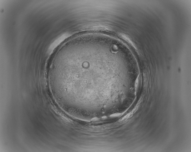 X0000062171071200512091424