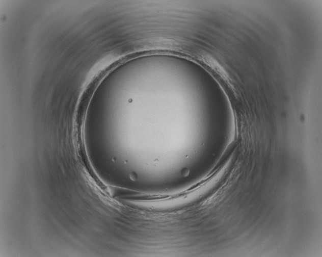 X0000062171072200512091424