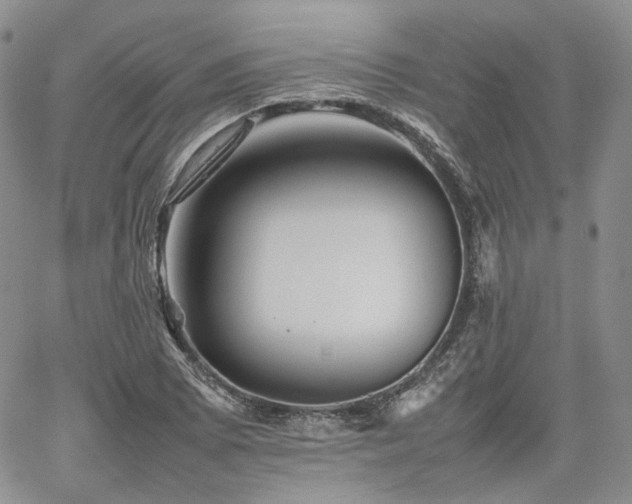 X0000062171073200512091424