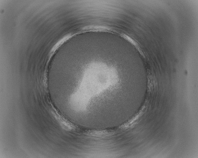 X0000062171074200512091424