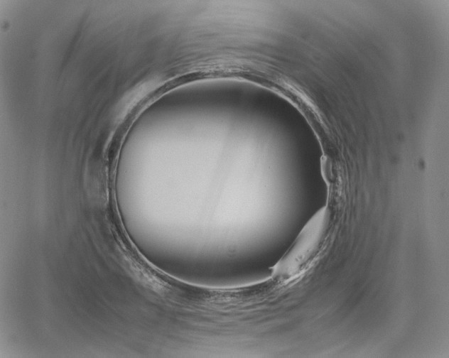 X0000062171075200512091424