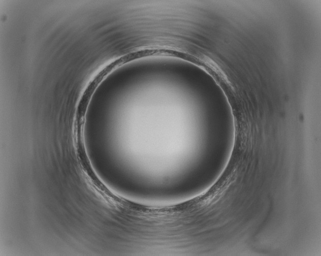 X0000062171076200512091424