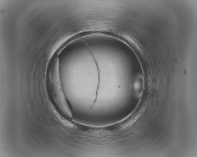 X0000062171077200512091424