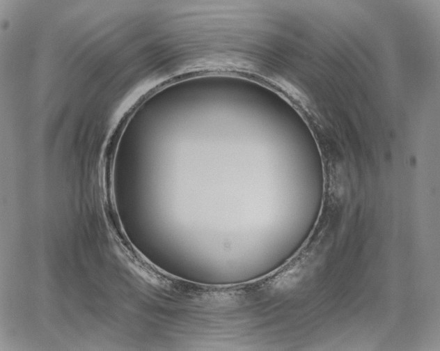 X0000062171078200512091424