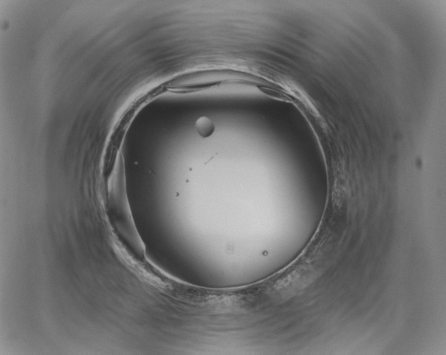 X0000062171080200512091424