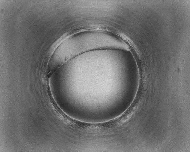 X0000062171081200512091424