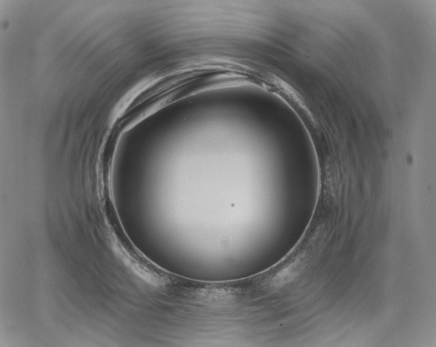 X0000062171082200512091424