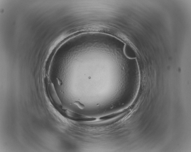 X0000062171083200512091424