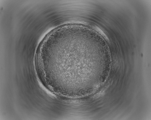 X0000062171084200512091424