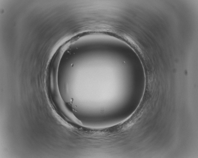 X0000062171085200512091424