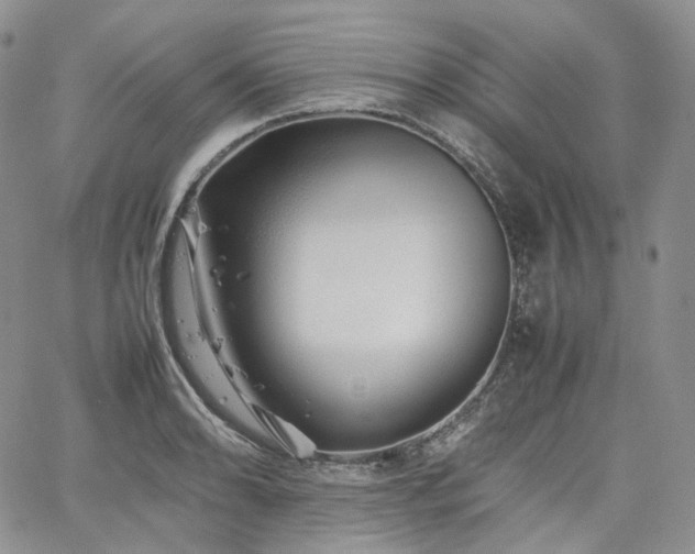 X0000062171086200512091424