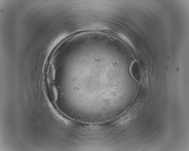 X0000062171087200512091424