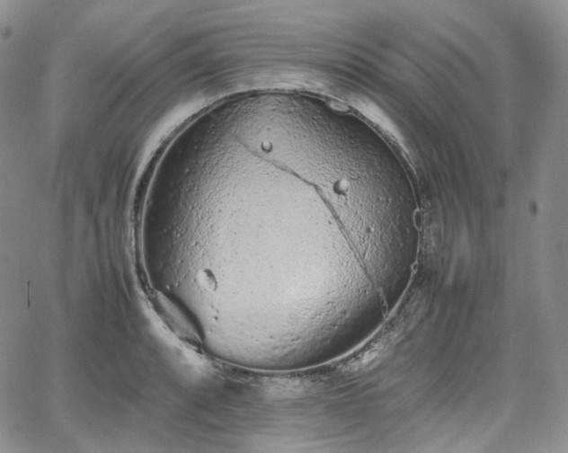 X0000062171088200512091424