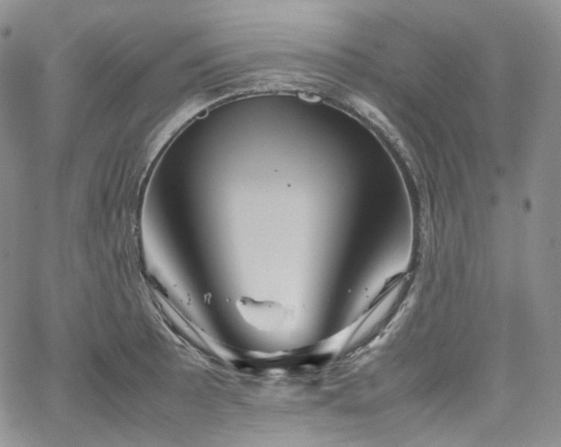 X0000062171089200512091424