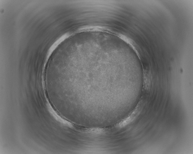 X0000062171090200512091424