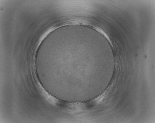 X0000062171091200512091424