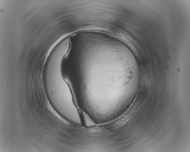 X0000062171092200512091424