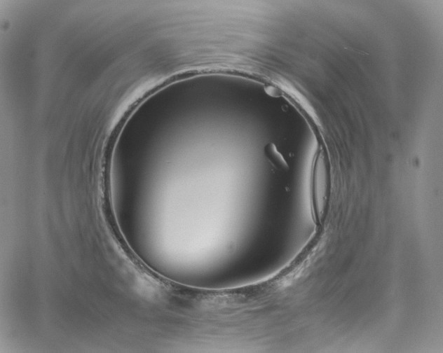 X0000062171093200512091424