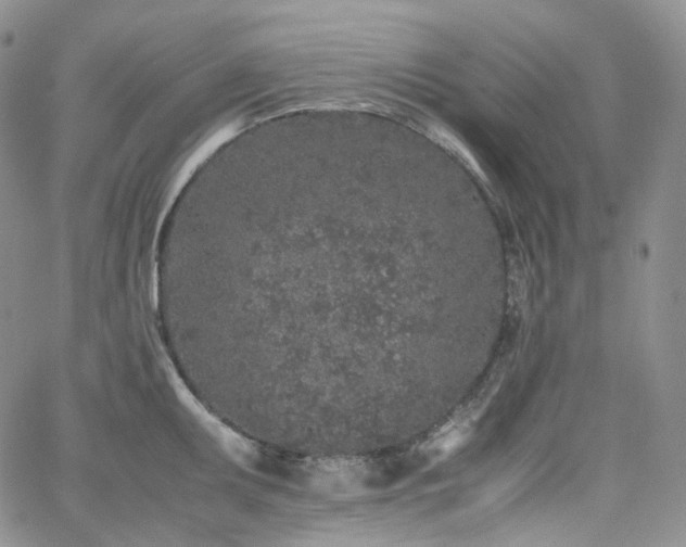 X0000062171095200512091424