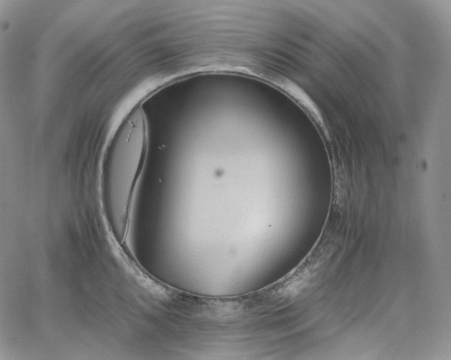 X0000062171096200512091424