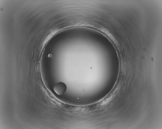 X0000062171097200512091424