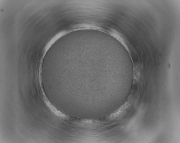 X0000062171098200512091424