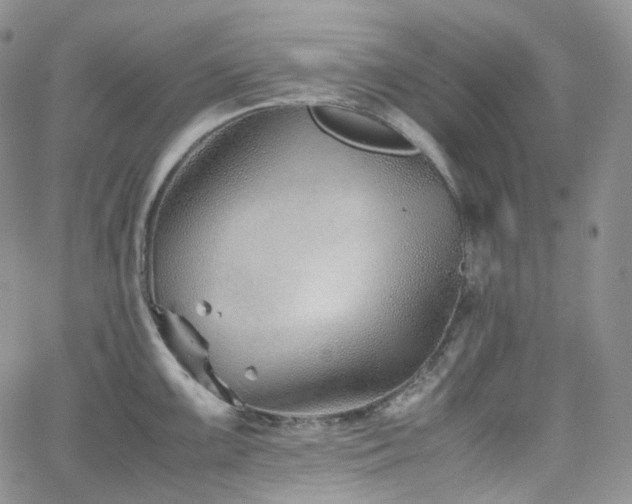 X0000062171099200512091424