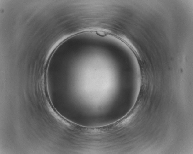 X0000062171100200512091424