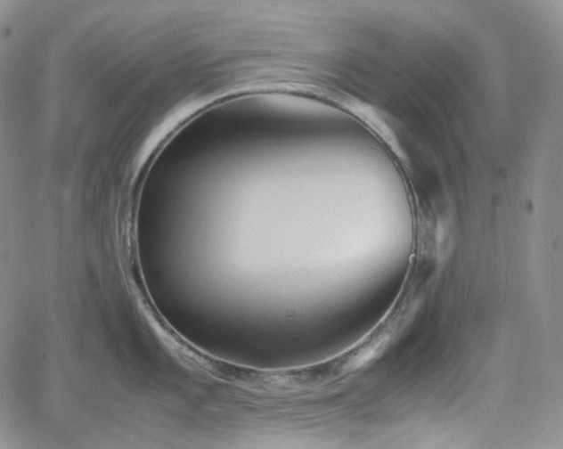 X0000062171101200512091424