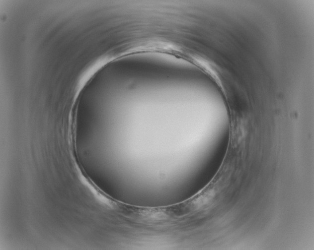 X0000062171103200512091424