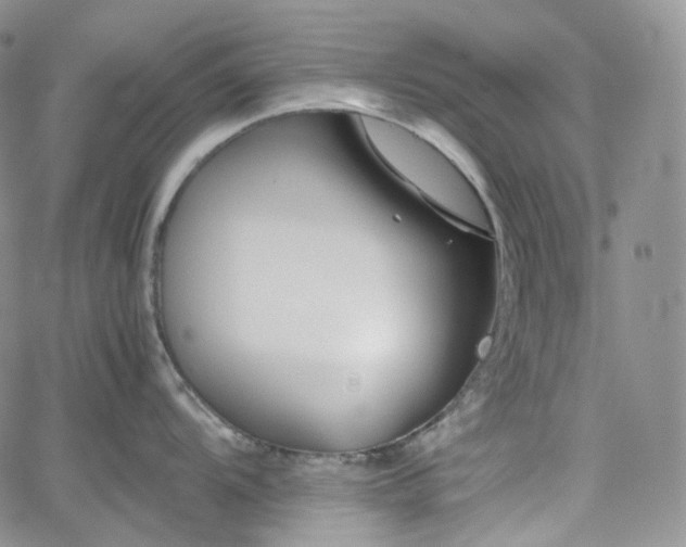 X0000062171104200512091424