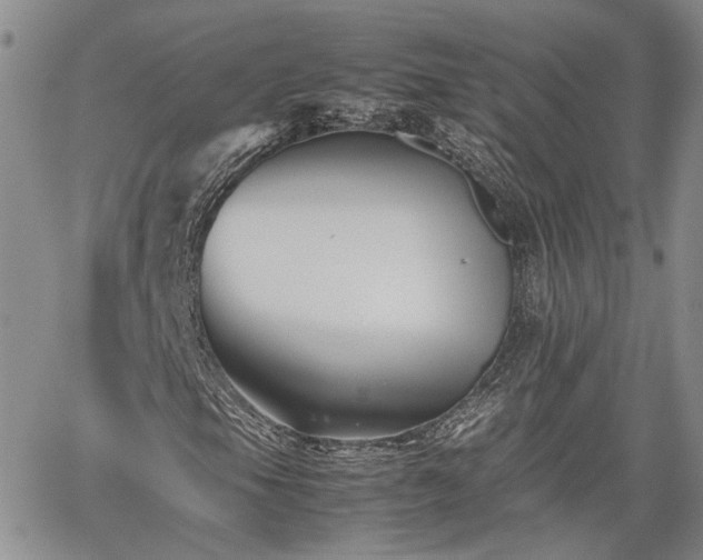 X0000062171105200512091423