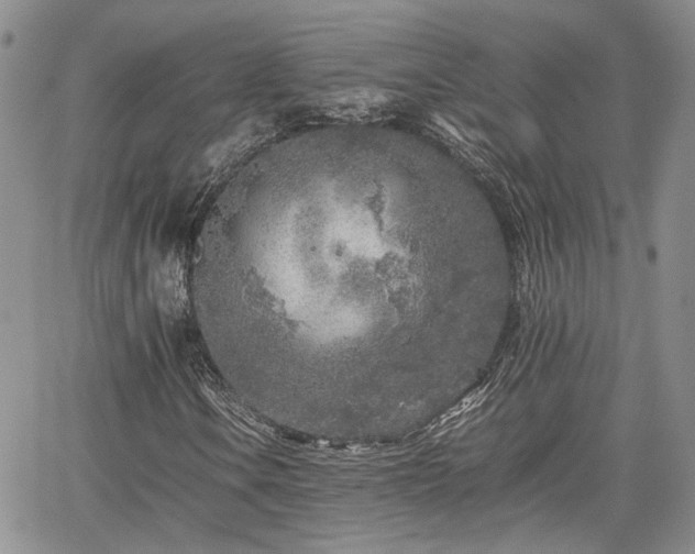 X0000062171106200512091423