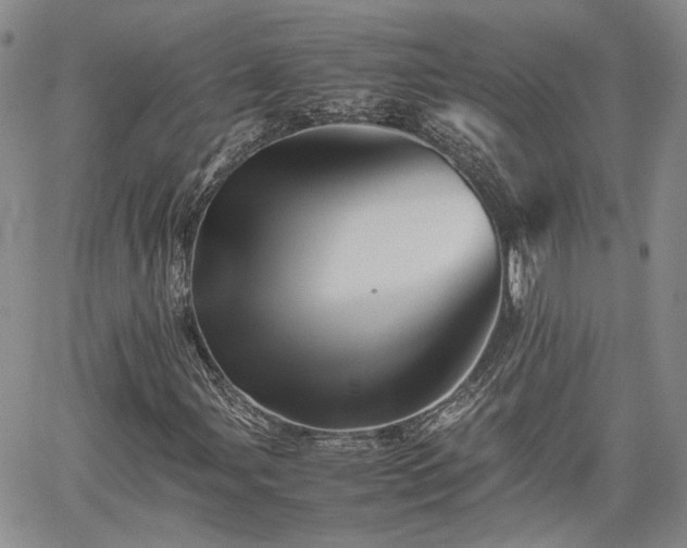 X0000062171107200512091423