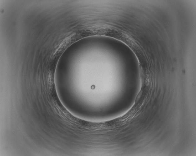 X0000062171108200512091423